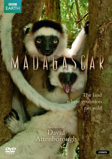 Madagaskar tabiati