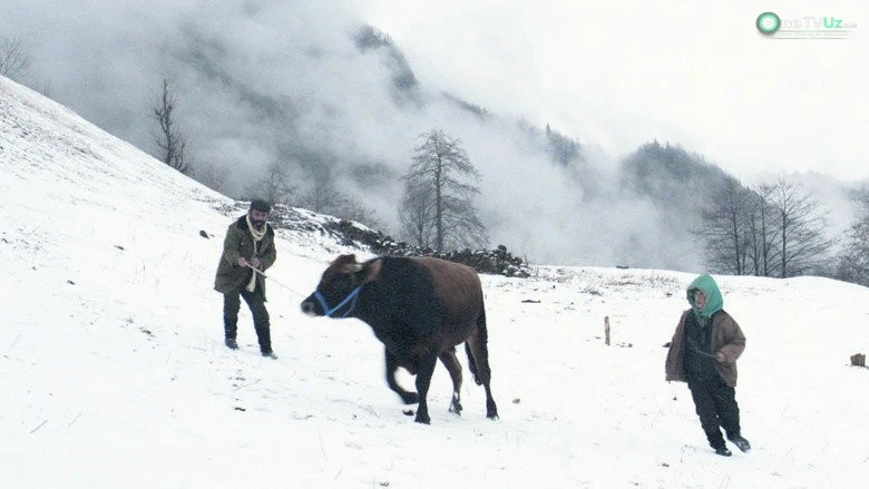 Kalandarning sovuq kunlari 2015 kino kadr 1