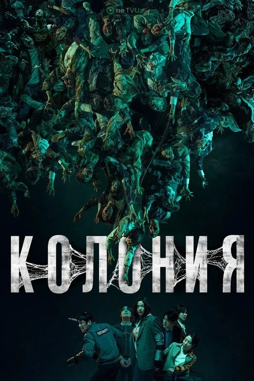 Koloniya
