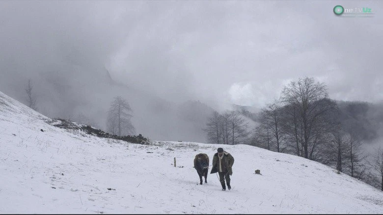 Kalandarning sovuq kunlari 2015 kino kadr 2